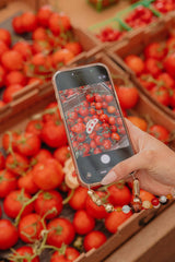 KAXI Tomato Charmed Claw Clip
