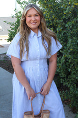 Striped Pleated Flare Dress