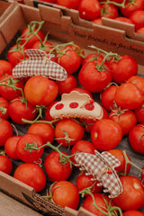 KAXI Tomato Charmed Claw Clip