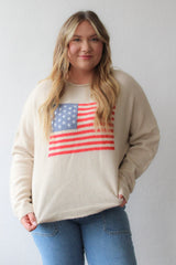 Knit Sweater American Flag Long Sleeve