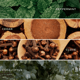 Relax, Girl 15 oz Soy Candle