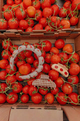 KAXI Brown Gingham Tomato Charm Claw Clip
