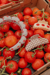 KAXI Tomato Charmed Claw Clip