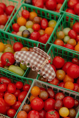 KAXI Brown Gingham Tomato Charm Claw Clip