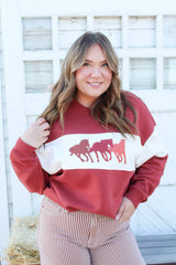 Horses Applique Pullover
