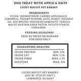 Cinnamon Roll Dog Treat
