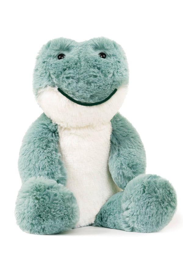 Little Freddy Frog