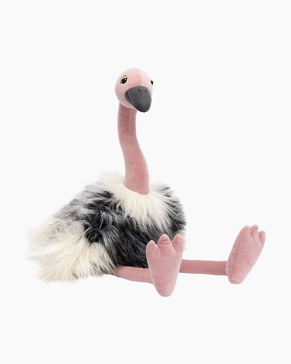 Ramonda Ostrich