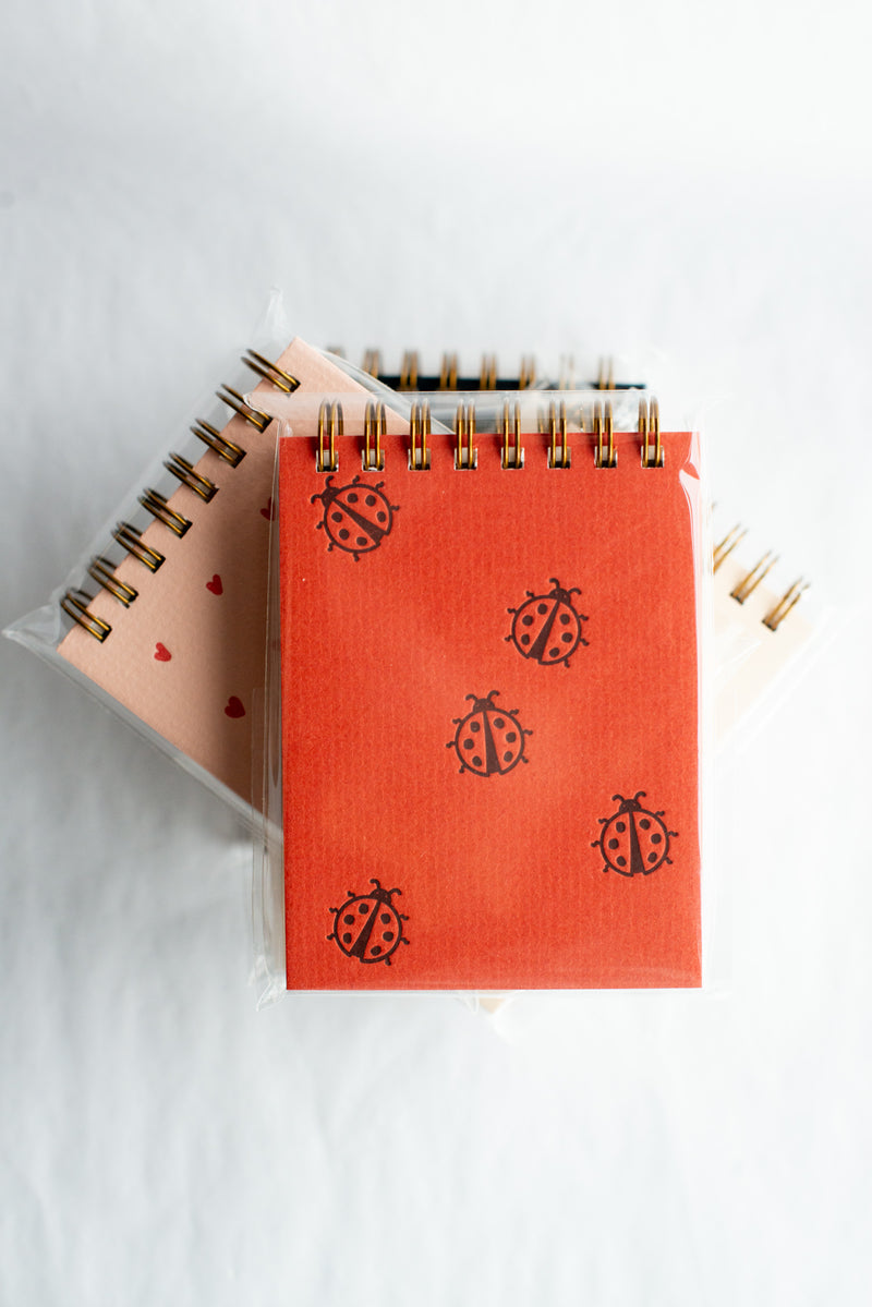 Ladybug Mini Jotter Notebook