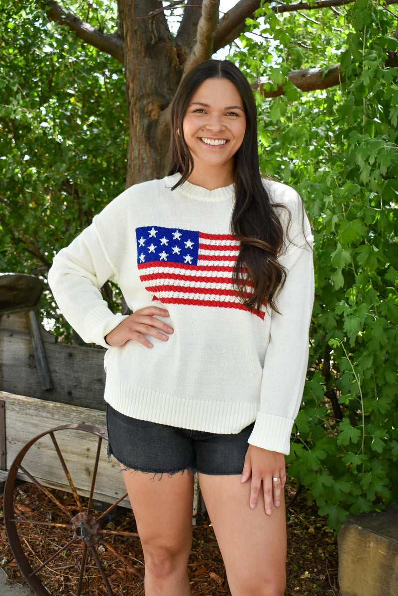American Flag Sweater