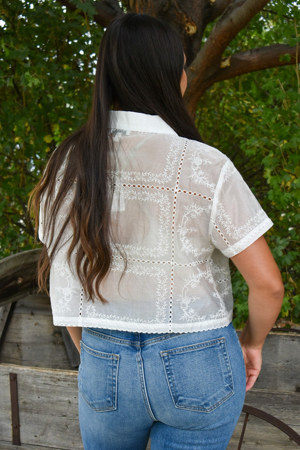 Classy Eyelet Blouse