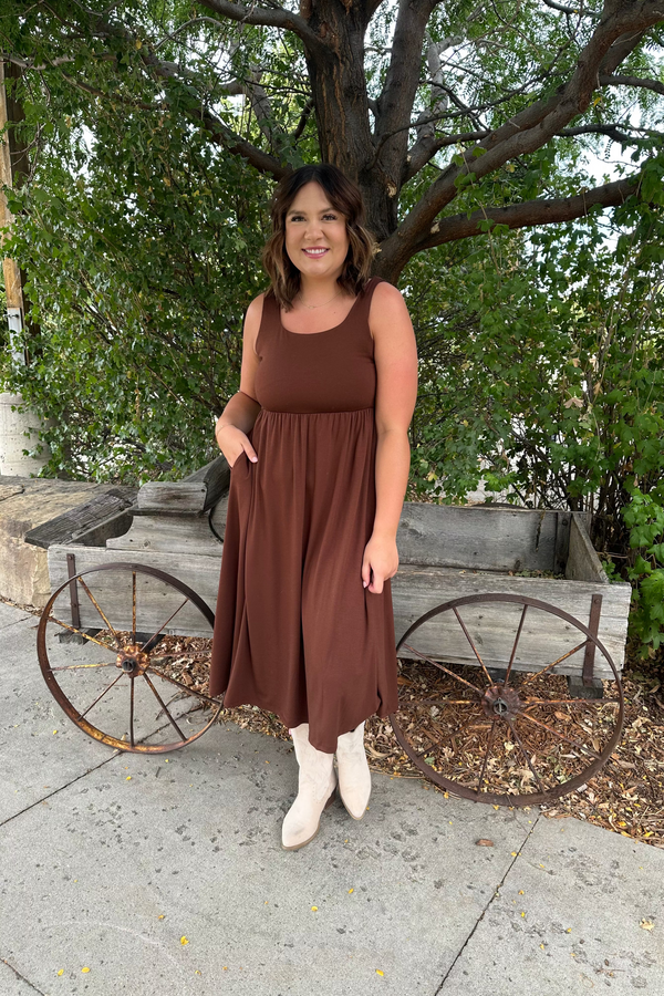Chocolate Lake Swing Dress