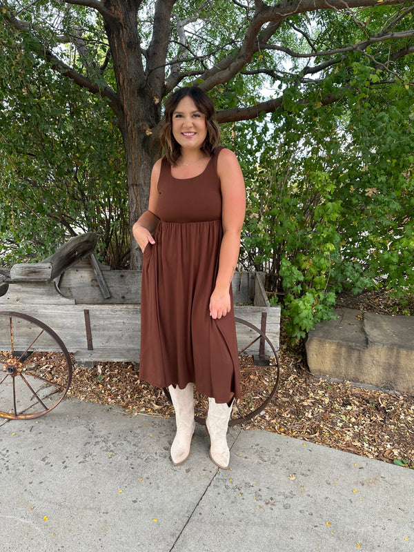 Chocolate Lake Swing Dress