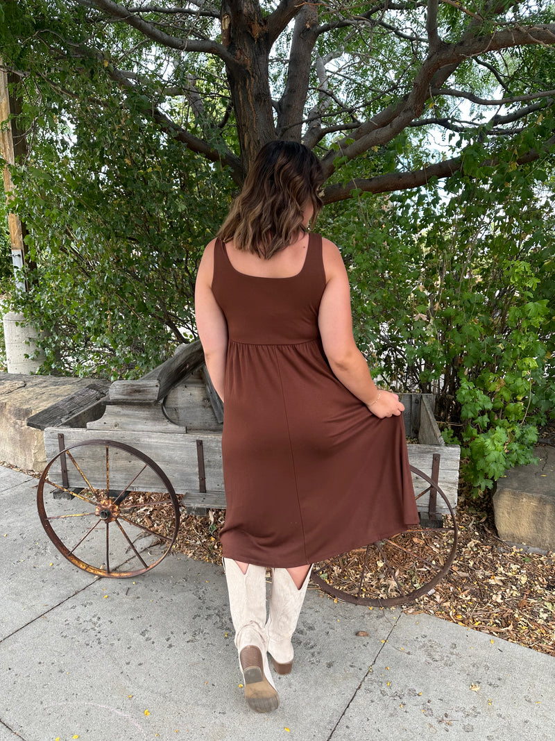 Chocolate Lake Swing Dress