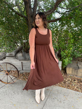 Chocolate Lake Swing Dress