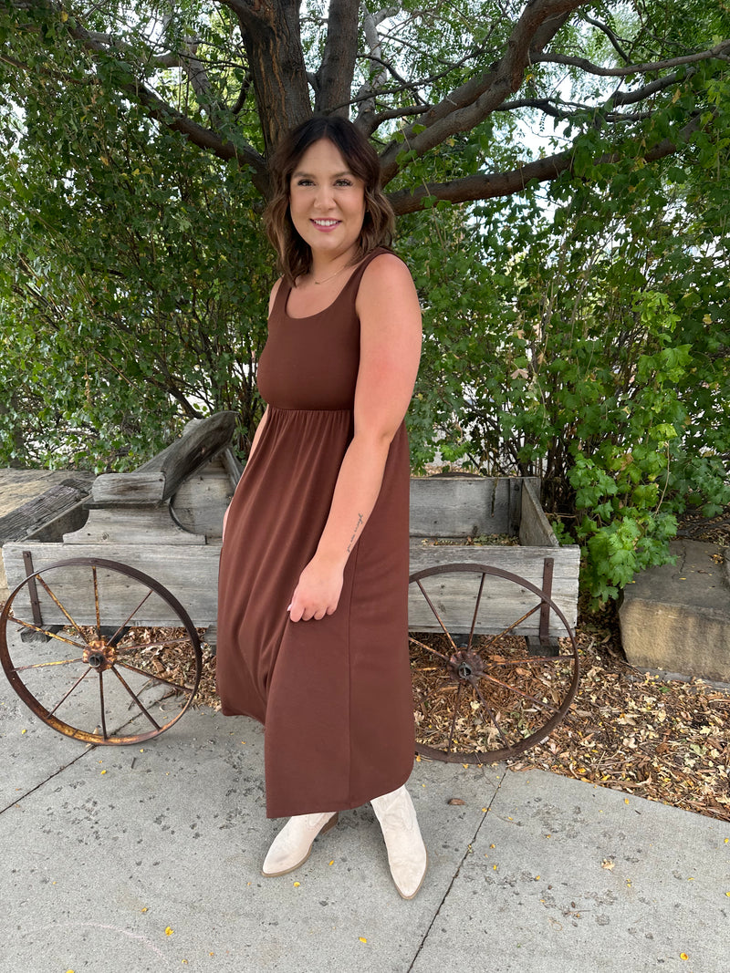 Chocolate Lake Swing Dress