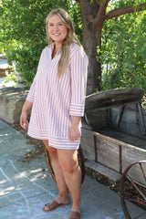 Stripe Collared Mini Dress
