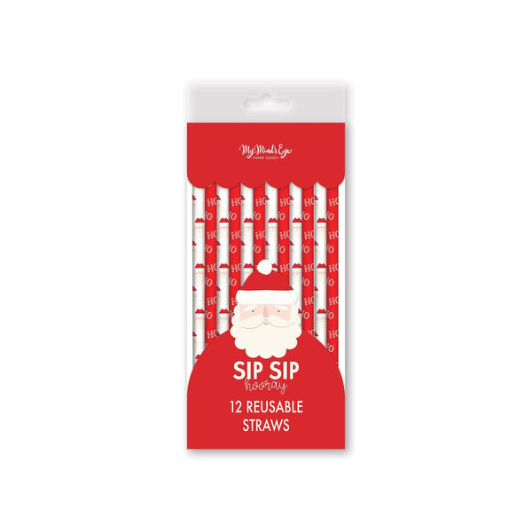 Believe Santa Reusable Straw Set