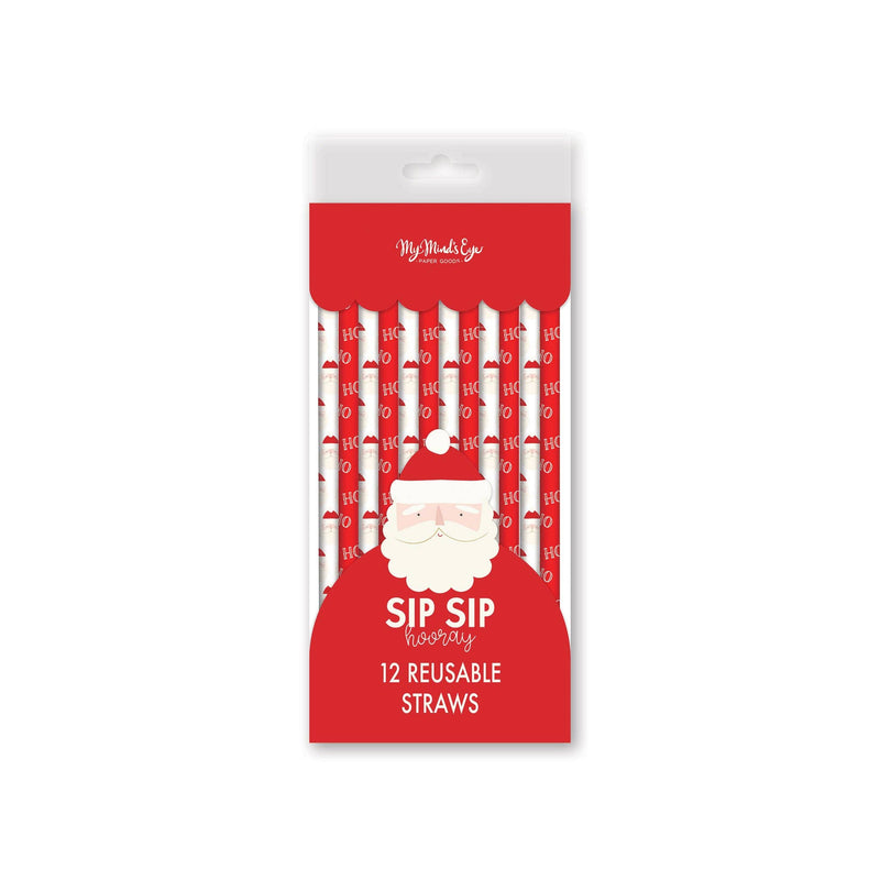 Believe Santa Reusable Straw Set