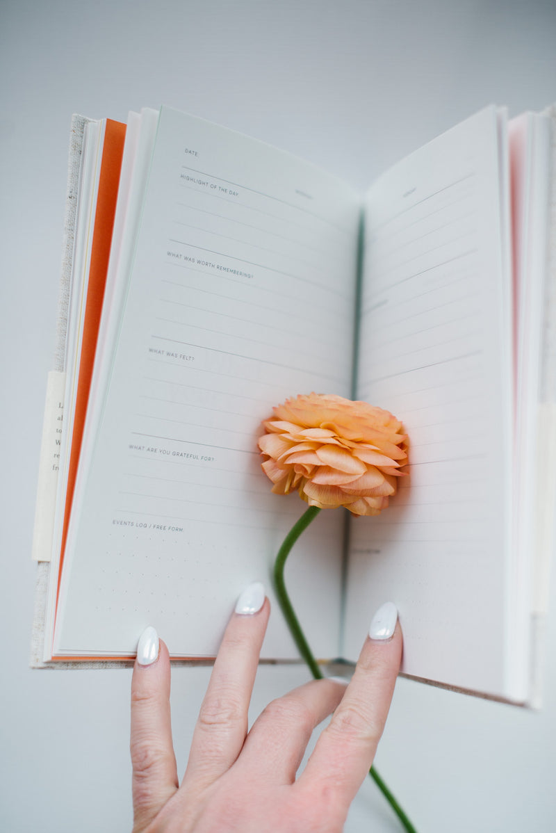 Oatmeal Abridged Journal