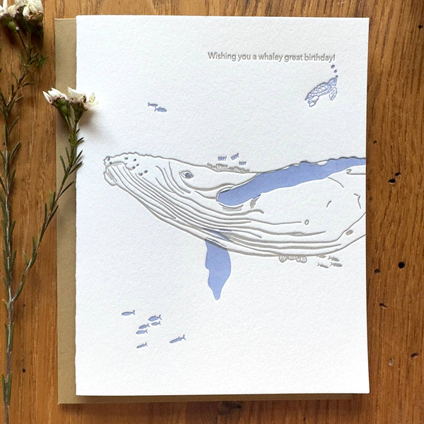 Have a Whaley Great Birthday Letterpress Card